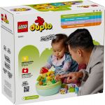LEGO 10441 - Verpackung Rueckseite