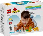 LEGO 10442 - Verpackung Rueckseite