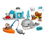 LEGO Duplo 10803 Arktis