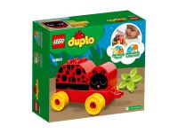 LEGO Duplo 10859 Mein erster Marienkäfer LEGO_10859_alt2.jpg