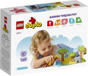 LEGO 10971 - Verpackung Rueckseite