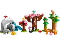 LEGO Duplo 10974 Wilde Tiere Asiens