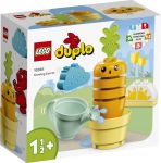 LEGO 10981 - Verpackung Ansicht 1