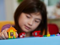 LEGO 11001 - Bild 10
