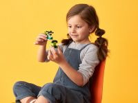 LEGO 11007 - Bild 5