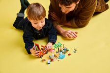 LEGO 11202 - Fertiges Modell 5