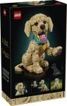 LEGO Advanced Models 11384 Golden Retriever Welpe LEGO_11384_Box5_v39.jpg