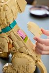 LEGO Advanced Models 11384 Golden Retriever Welpe LEGO_11384_Lifestyle_Build_04.jpg