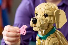 LEGO Advanced Models 11384 Golden Retriever Welpe LEGO_11384_Lifestyle_Build_05.jpg