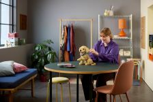 LEGO Advanced Models 11384 Golden Retriever Welpe LEGO_11384_Lifestyle_Cons_01.jpg