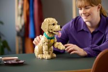 LEGO Advanced Models 11384 Golden Retriever Welpe LEGO_11384_Lifestyle_Cons_02.jpg