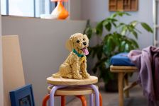LEGO Advanced Models 11384 Golden Retriever Welpe LEGO_11384_Lifestyle_Envr_03.jpg