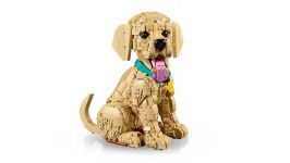 LEGO Advanced Models 11384 Golden Retriever Welpe LEGO_11384_WEB_SEC01_NOBG.jpg