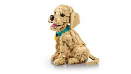 LEGO Advanced Models 11384 Golden Retriever Welpe LEGO_11384_WEB_SEC02_NOBG.jpg