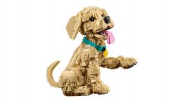 LEGO Advanced Models 11384 Golden Retriever Welpe LEGO_11384_WEB_SEC03_NOBG.jpg