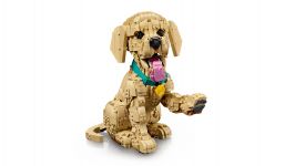 LEGO Advanced Models 11384 Golden Retriever Welpe LEGO_11384_WEB_SEC04_NOBG.jpg