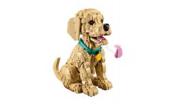 LEGO Advanced Models 11384 Golden Retriever Welpe LEGO_11384_WEB_SEC05_NOBG.jpg