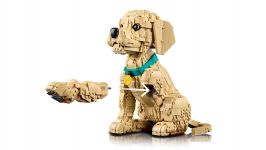 LEGO Advanced Models 11384 Golden Retriever Welpe LEGO_11384_WEB_SEC07_NOBG.jpg