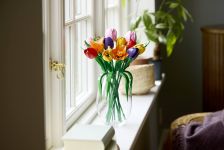 LEGO Botanicals 11501 Tulpenstrauß LEGO_11501_Lifestyle_Envr_02.jpg