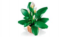 LEGO Botanicals 11504 Friedenslilie LEGO_11504_WEB_SEC03_NOBG_en-gb.jpg