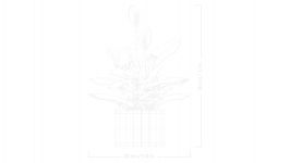 LEGO Botanicals 11504 Friedenslilie LEGO_11504_WEB_SEC04_NOBG.jpg