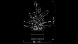 LEGO Botanicals 11504 Friedenslilie LEGO_11504_WEB_SEC04_en-gb.jpg