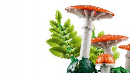 LEGO Botanicals 11505 Waldpilze LEGO_11505_WEB_SEC03_NOBG.jpg