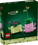 LEGO Botanicals 11506 Schaukelnde Pflanzen LEGO_11506_Box1_v29.jpg