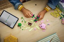 LEGO Botanicals 11506 Schaukelnde Pflanzen LEGO_11506_Lifestyle_build.jpg