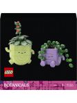 LEGO Botanicals 11506 Schaukelnde Pflanzen LEGO_11506_prodimg.jpg