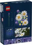 LEGO Botanicals 11508 Gänseblümchen LEGO_11508_Box5_v29.jpg