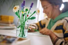 LEGO Botanicals 11508 Gänseblümchen LEGO_11508_Lifestyle_cons_2.jpg