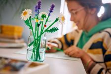 LEGO Botanicals 11508 Gänseblümchen LEGO_11508_Lifestyle_cons_2_en-gb.jpg