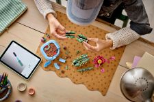 LEGO Botanicals 11509 Blühender Kaktus LEGO_11509_Lifestyle_build_en-gb.jpg