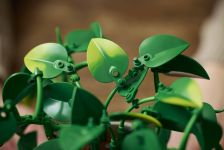 LEGO 11512 - Bauphase 6