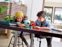 LEGO 21153 - Bild 9