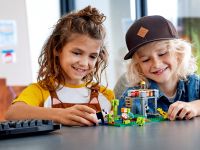 LEGO 21158 - Bild 9