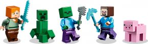 LEGO 21161 - Bild 6