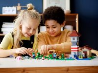 LEGO 21161 - Bild 9