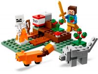 LEGO 21162 - Bild 3