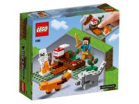 LEGO 21162 - Bild 4