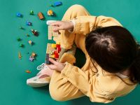 LEGO 21164 - Bild 6