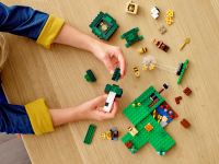 LEGO 21165 - Bild 9