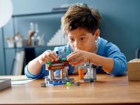 LEGO 21166 - Bild 9