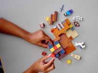 LEGO 21167 - Bild 8