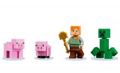 LEGO 21170 - Bild 3