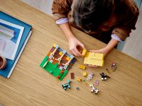 LEGO 21171 - Bild 7