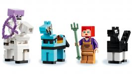 LEGO 21171 - Detailansicht 1