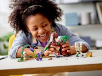 LEGO 21176 - Bild 7