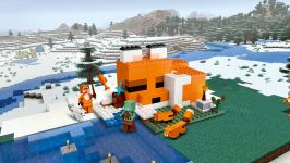 LEGO 21178 - Hauptansicht